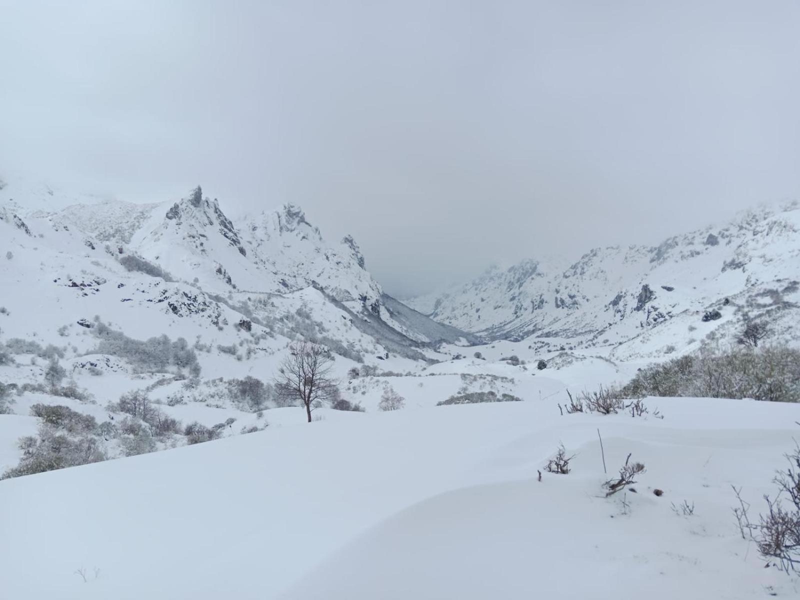 Apartamentos Rurales La Laguna Somiedo Valle de Lago Exteriör bild